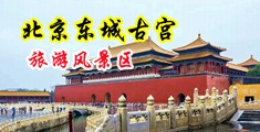 尻屄网站中国北京-东城古宫旅游风景区